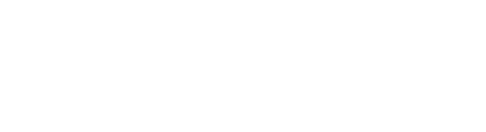 Morgan Stanley Securities (China)